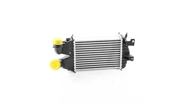 BSG 65-535-006 | Turbo Radyatörü 262X181.5X62 Astra H Zafira B Z13dth Z17dtl Z17dth Z19dt Z19dtl Z19dtj Z19dth 07-