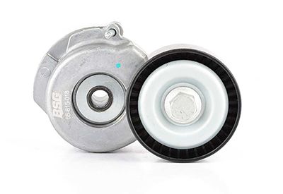 BSG 65-615-018 | V Kayış Gergi Rulmanı Komple