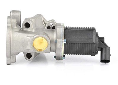 BSG 65-836-007 | EGR Valfi