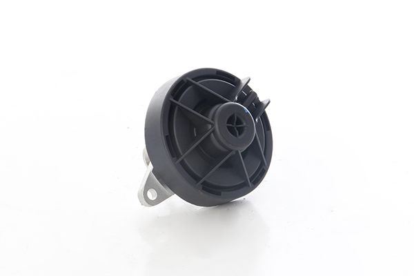 BSG 65-836-010 | EGR Valfi