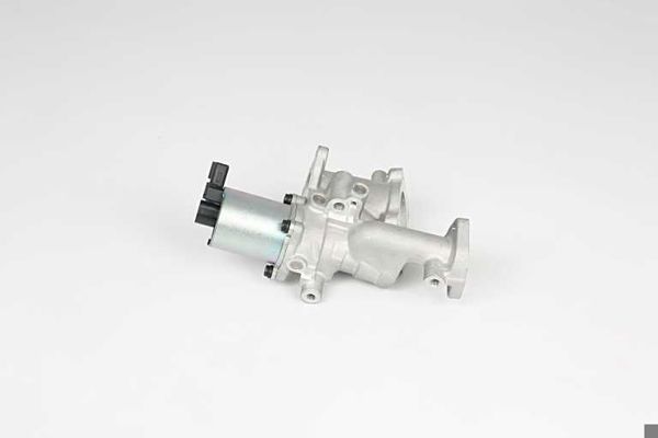 BSG 65-836-012 | EGR Valfi