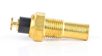 BSG 65-840-029 | Hararet Müşürü 120 °C M10x1mm