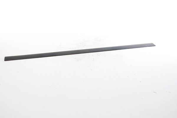 BSG 65-925-031 | Kapı Bandı Ön Sağ  Vectra B Bm 96-