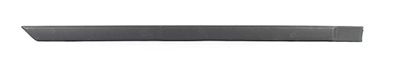 BSG 65-925-036 | Kapı Bandı Arka Sağ Astra F Bm 91-98