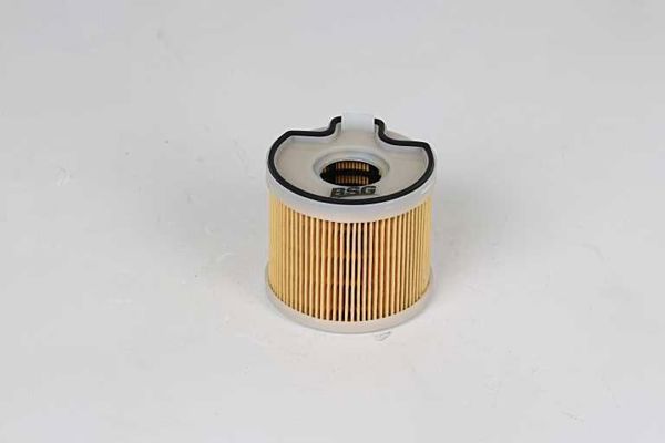 BSG 70-130-007 | Yakıt Filtresi