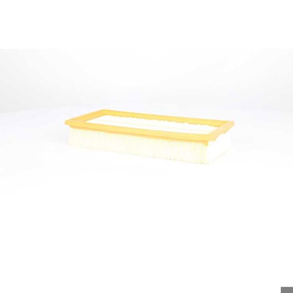 BSG 70-135-017 | Hava Filtresi