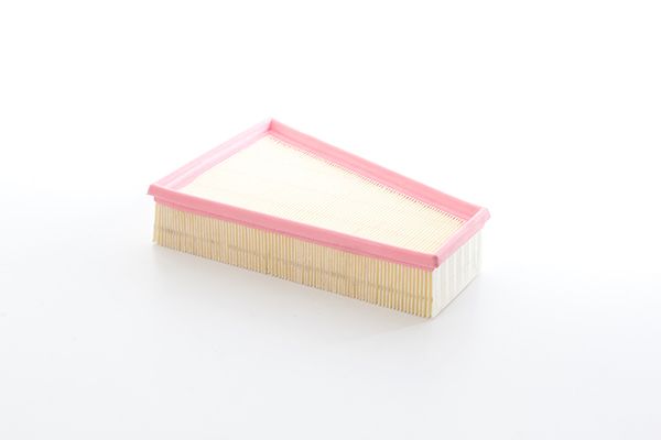 BSG 70-135-025 | Hava Filtresi