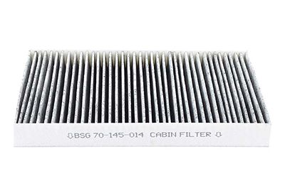 BSG 70-145-014 | Polen Filtresi (Karbonlu)