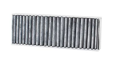 BSG 70-145-018 | Polen Filtresi Çıftlı Karbonlu