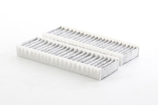 BSG 70-145-025 | Polen Filtresi (Karbonlu) (Takım)