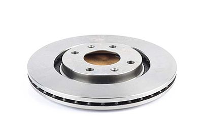 BSG 70-210-019 | Fren Diski Ön