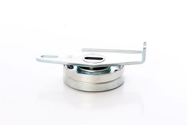 BSG 70-615-013 | V Kayış Gergi Rulmanı  Boxer / Jumper 2.5 Dizel 94-02