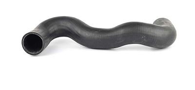 BSG 70-720-077 | Turbo Hortumu