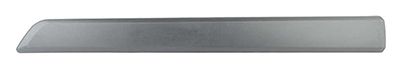 BSG 70-924-005 | Kapı Bandı Ön Sağ  Bipper / Nemo 1.4 HDI 06-