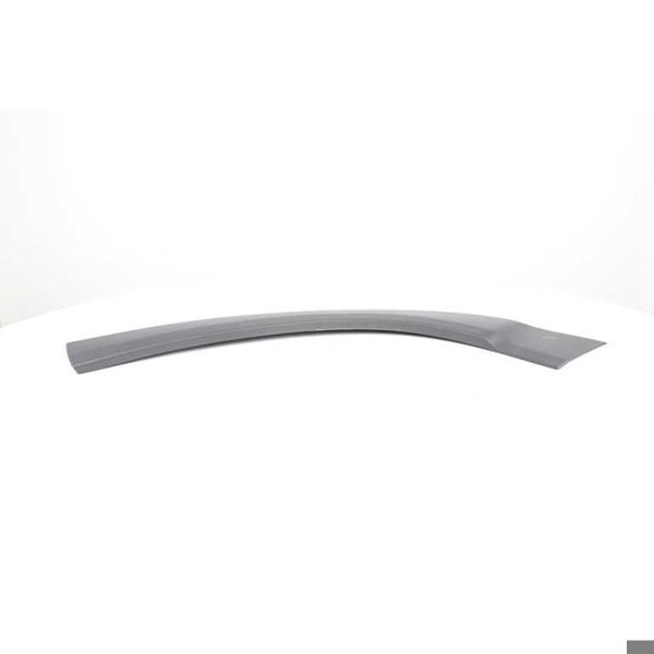 BSG 70-925-002 | Kapı Bandı Ön (Ay Çıta)