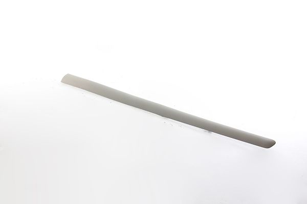 BSG 70-925-009 | Kapı Bandı Ön Sağ (Boyanır)