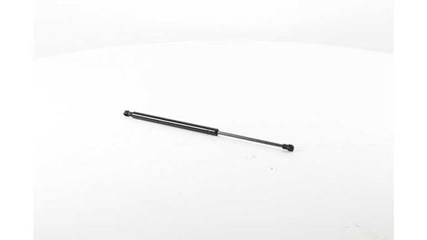 BSG 70-980-037 | Bagaj Amortisörü