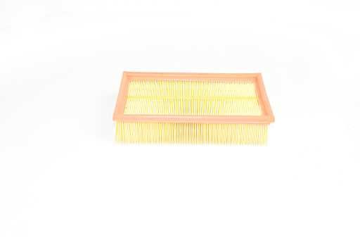 BSG 75-135-007 | Hava Filtresi