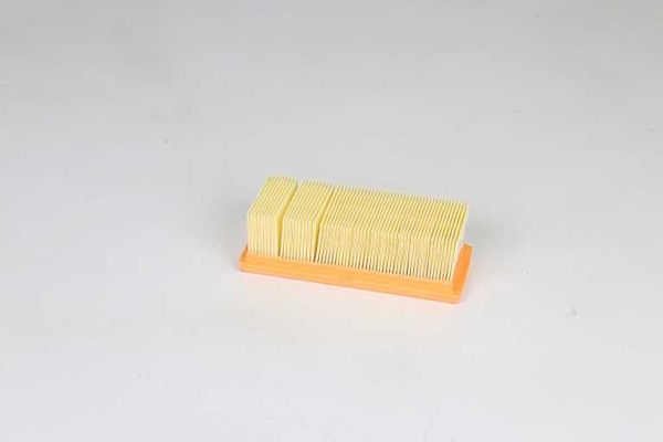 BSG 75-135-017 | Hava Filtresi Kısa Tip