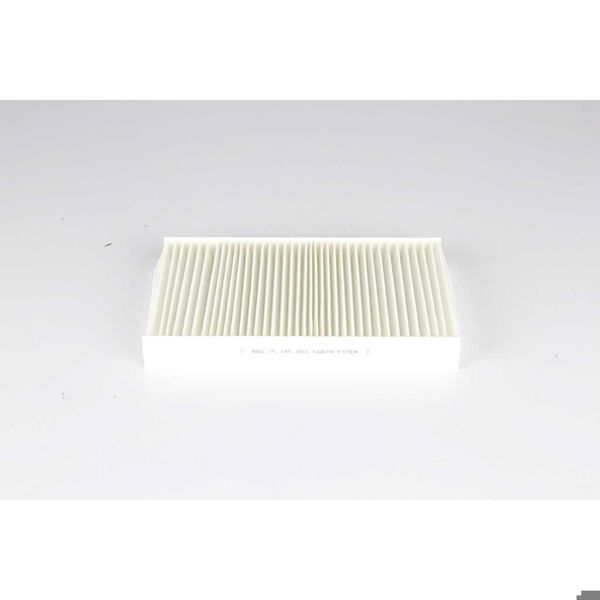 BSG 75-145-003 | Polen Filtresi Kabin Filtresi Karbonsuz