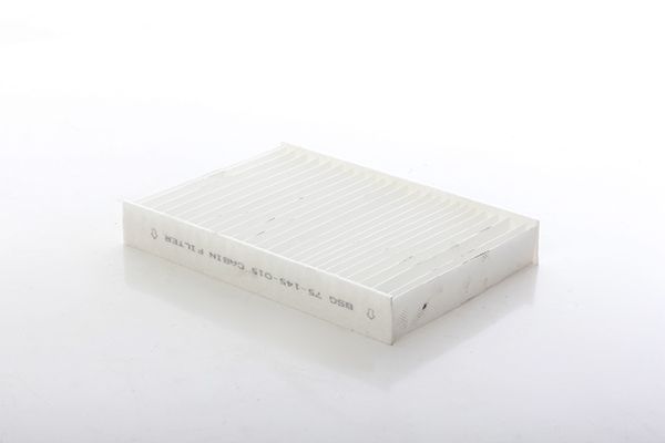 BSG 75-145-015 | Polen Filtresi Kabin Filtresi Karbonsuz