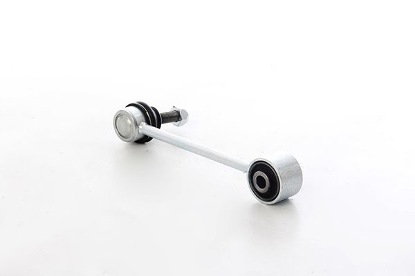 BSG 75-310-078 | Viraj Askı Rotu Arka Sağ-Sol