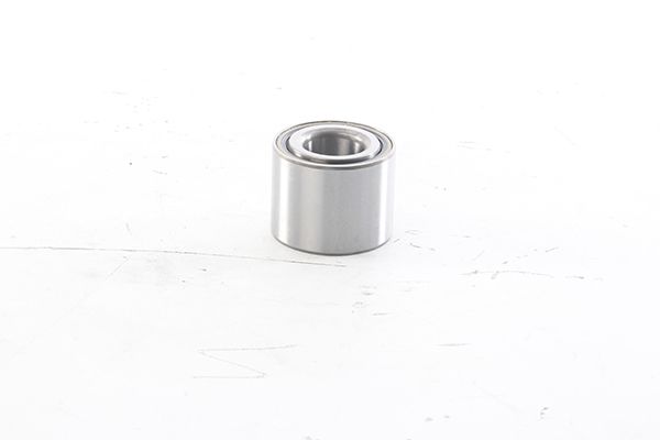 BSG 75-605-006 | Porya Rulmanı Arka