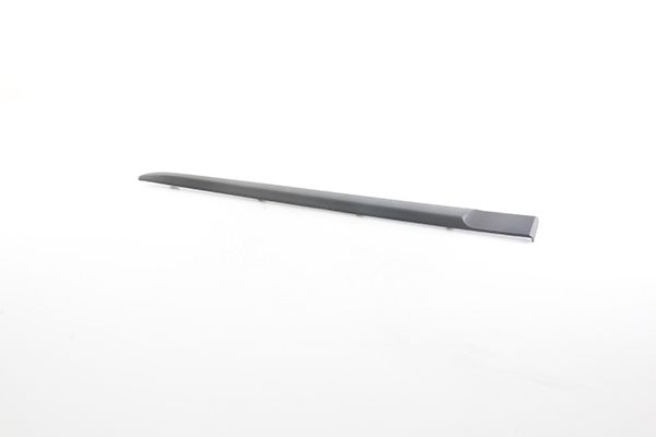BSG 75-924-009 | Kapı Bandı Arka Sol  Clio III Bm 05-