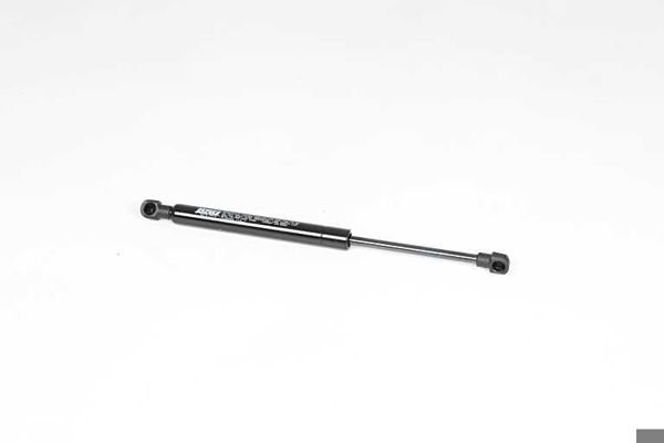 BSG 75-980-022 | Bagaj Amortisörü  Fluence (L3_) Bm 10-