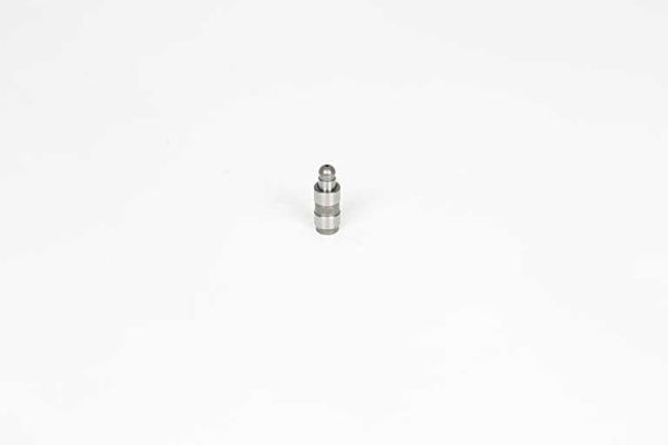 BSG 90-122-019 | Subap Itıcısı 420 0082 10