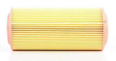 BSG 90-135-009 | Hava Filtresi E299l-Lx 918 (Silindir Tip)