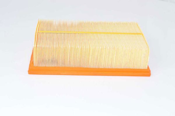 BSG 90-135-020 | Hava Filtresi E1090l / Lx3502