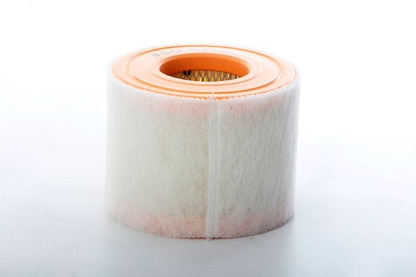 BSG 90-135-030 | Hava Filtresi E1054l / Lx2607 / 2