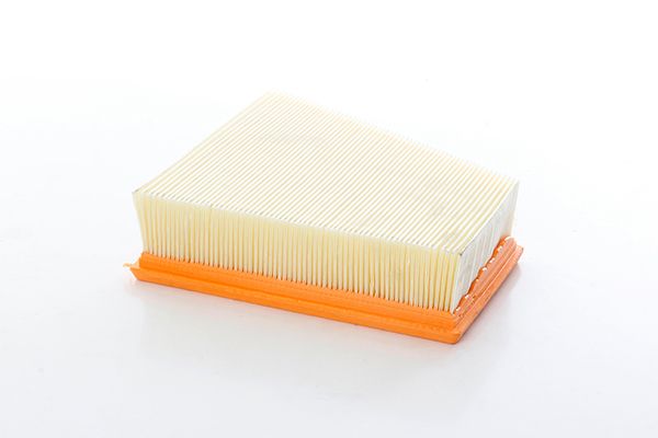 BSG 90-135-043 | Hava Filtresi Lx998 / E427l