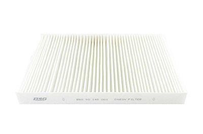 BSG 90-145-001 | Polen Filtresi E900lı / La 31 (Karbonsuz)