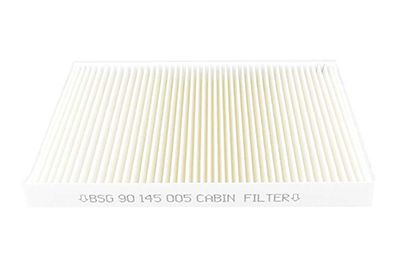 BSG 90-145-005 | Polen Filtresi E1910lı-La 182 (Karbonsuz)