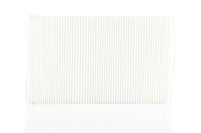 BSG 90-145-007 | Polen Filtresi E915lı-La 58 (Karbonsuz)