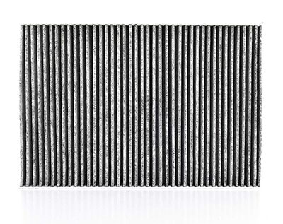 BSG 90-145-015 | Polen Filtresi E955lc / Lak 93 (Karbonlu)