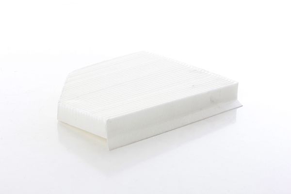 BSG 90-145-017 | Polen Filtresi E2948lı / La386 (Karbonsuz)