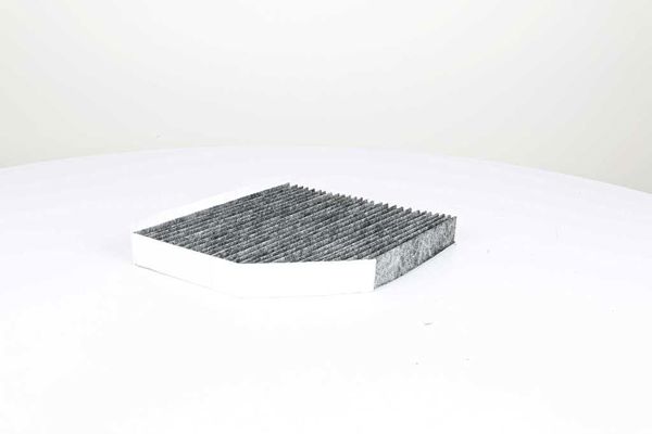 BSG 90-145-019 | Polen Filtresi (Inceltılmıs) E2948lc / Lak386 (Karbonlu)