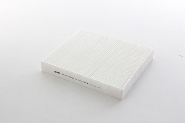 BSG 90-145-028 | Polen Filtresi E3919lı / La809 / Ah191 (Karbonsuz)