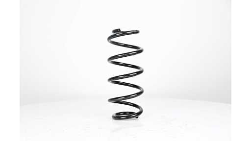 BSG 90-305-005 | Helezon Yayı Ön 993081 / 4004247