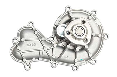 BSG 90-500-031 | Devirdaim 980298 / P660