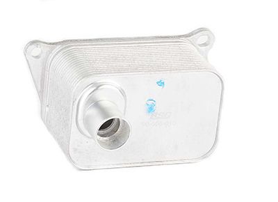 BSG 90-506-010 | Yağ Soğutucusu 8Mo 376 797-011