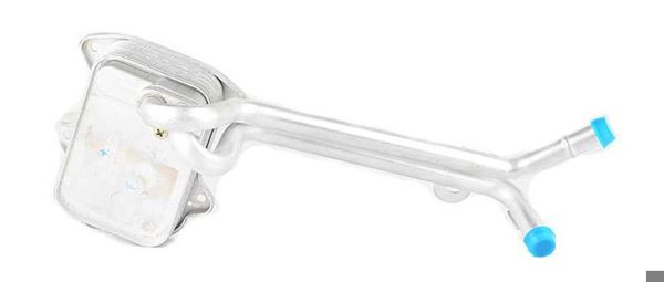 BSG 90-506-011 | Yağ Soğutucusu 8Mo 376 797-041