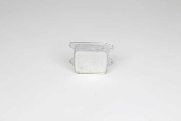 BSG 90-506-015 | Yağ Soğutucusu 101050