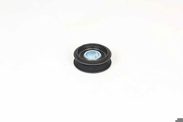 BSG 90-615-008 | V Kayış Gergi Rulmanı 531 0309 10