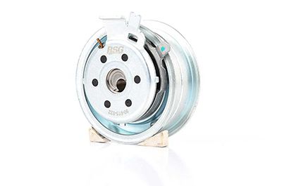 BSG 90-615-032 | Eksantrik Gergi Rulmanı 531020320