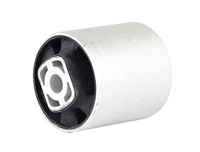 BSG 90-700-100 | Salıncak Burcu 30218 / 35380 01 (65 mm)