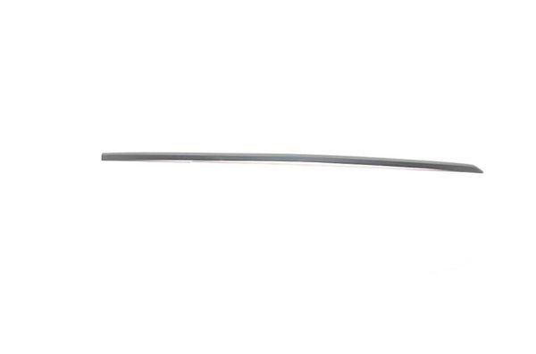 BSG 90-924-033 | Kapı Bandı Ön Sol 4 Kapılıya Göre Polo Bm 94-99